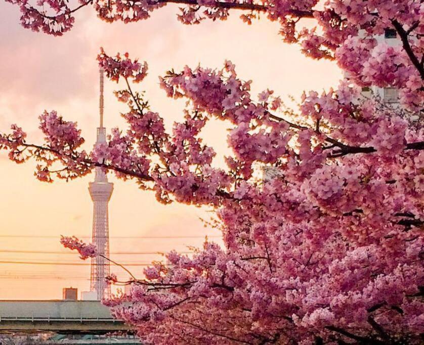 5Mins From Jr Kinshicho! Near Asakusa&Skytree! Токио Экстерьер фото